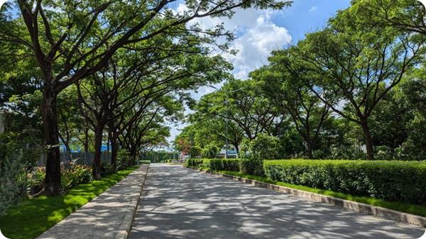 Setia Edenia khu căn hộ khác biệt trên trục Quốc lộ 13 năm 2026