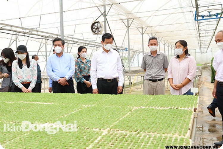 Bí thư Tỉnh ủy Nguyễn Hồng Lĩnh và đoàn công tác của tỉnh, H.Long Thành thăm quan khu trồng rau công nghệ cao trong nhà màng tại Nông trường Long Thành của Công ty TNHH Đầu tư sản xuất và phát triển nông nghiệp WinEco.
