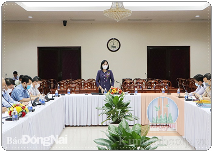 PCT tỉnh ĐN Nguyễn Thị Hoàng phát biểu tại buổi làm việc