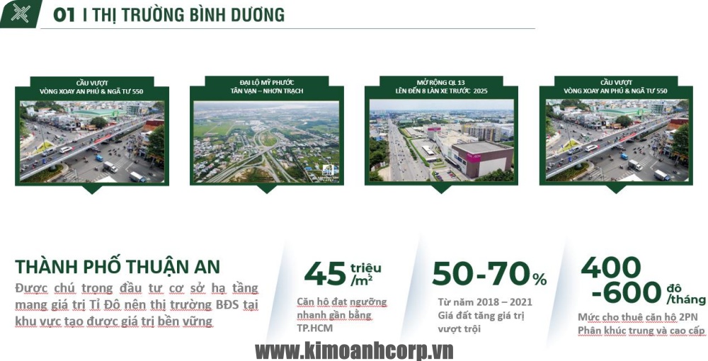 Thị trường Bất Động Sản Bình Dương năm 2022.