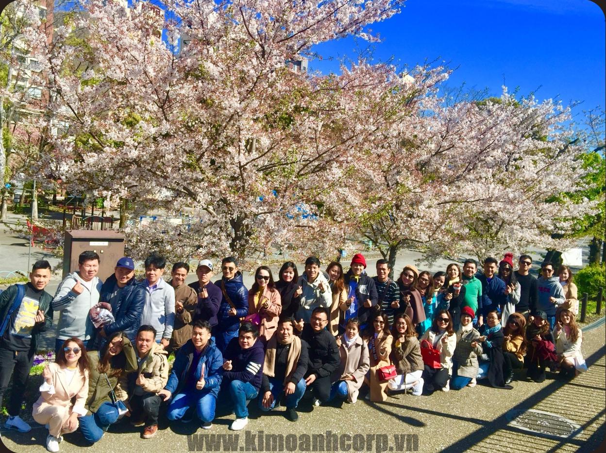 Đội ngũ CBNV Kim Oanh Group trong chuyến du lịch Nhật Bản năm 2019