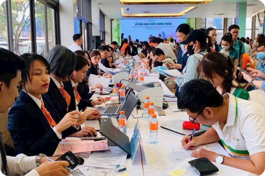 Kimoanhcorp.vn