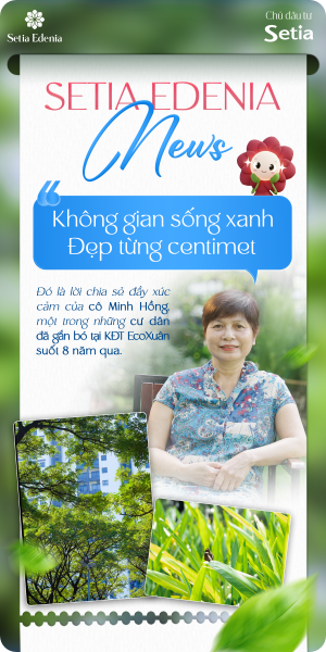 Kimoanhcorp.vn