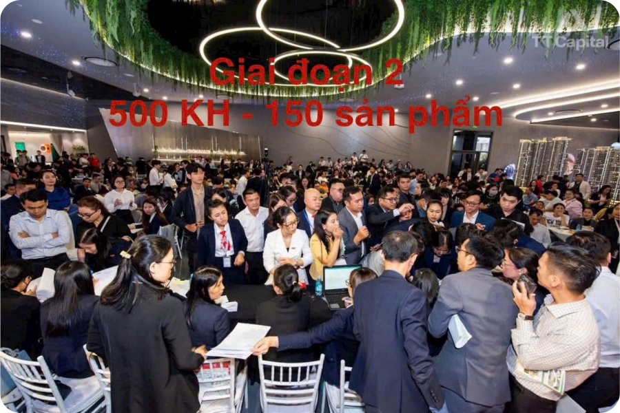 Kimoanhcorp.vn