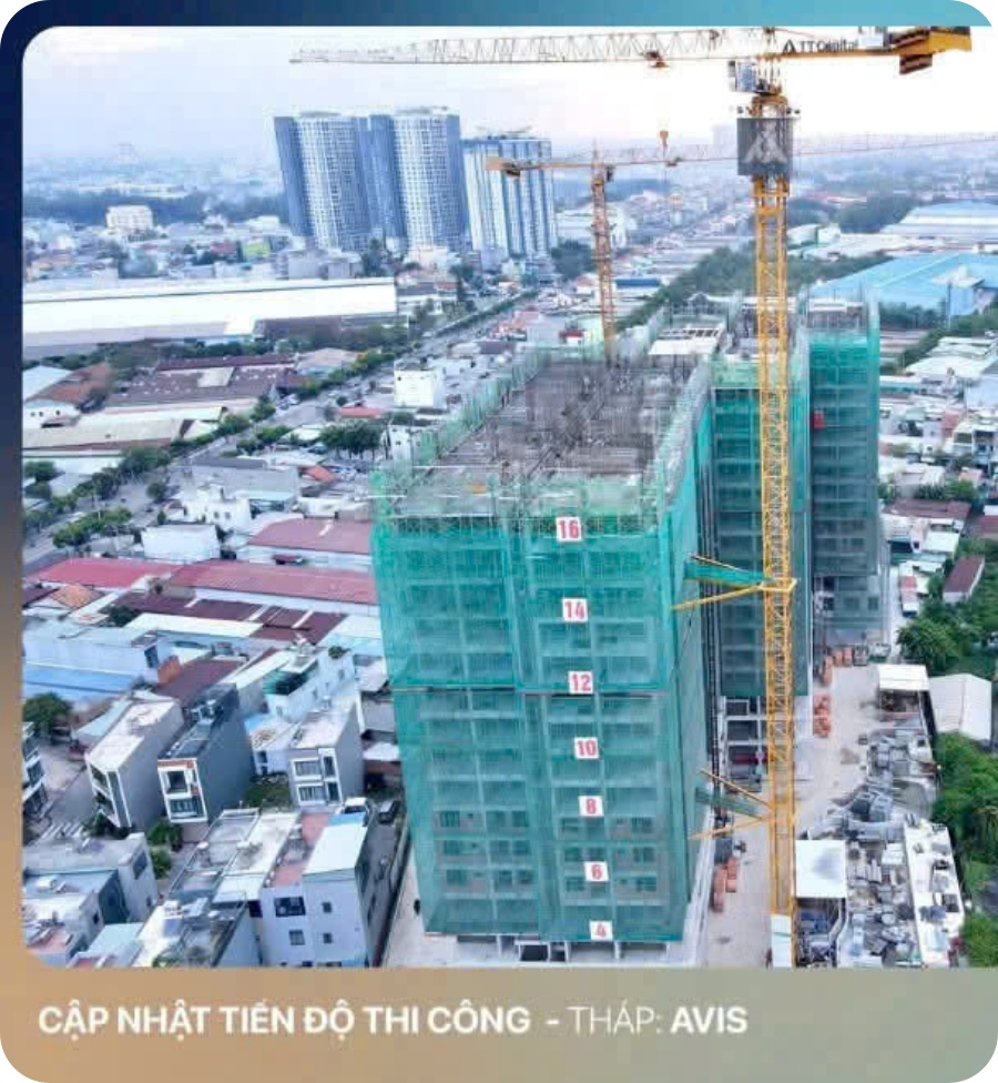 Kimoanhcorp.vn