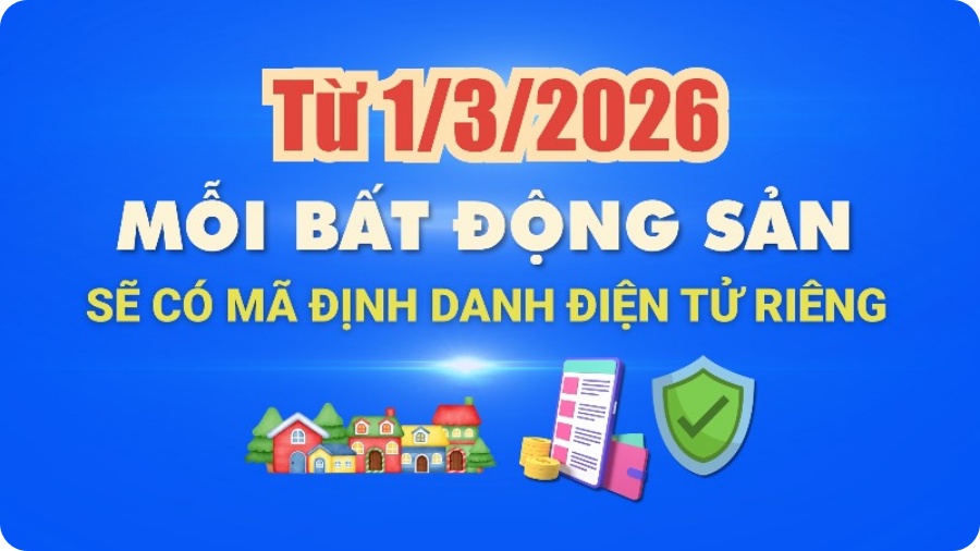 Kimoanhcorp.vn